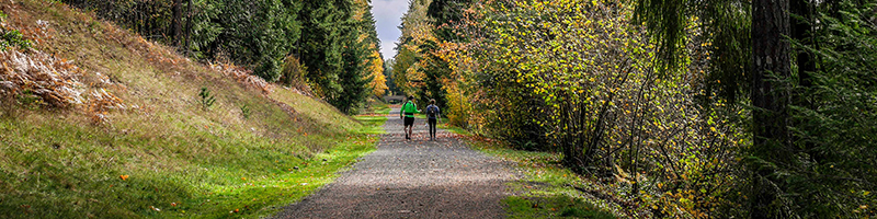 Walkers along the Green to Cedar Rivers Trail